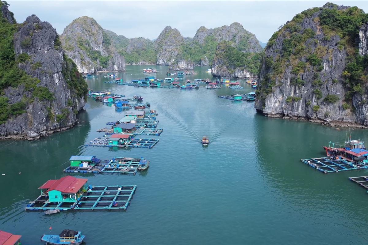 Khám phá 3 làng chài nổi tiếng ở Cát Bà: Nơi thời gian ngưng đọng