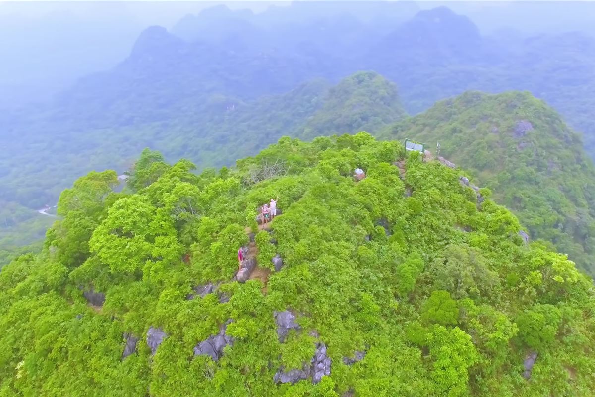 Leo Đỉnh Ngự Lâm Cát Bà: Ngắm Trọn Vẻ Đẹp 