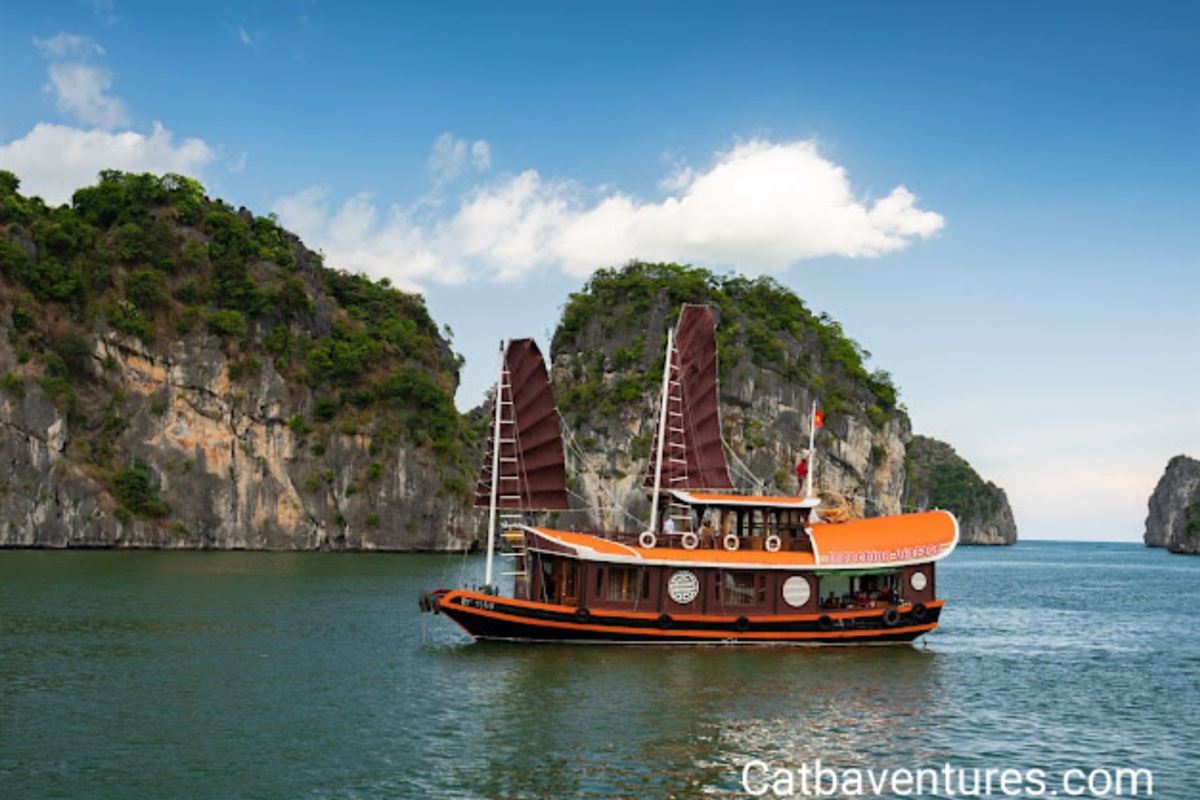 Tàu Đại Dương 06