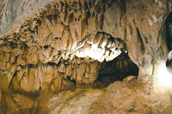 Tour nửa ngày: Khám Phá Rừng Ngập Mặn - Động Thiên Long - Thăm Miền Đất Rồng