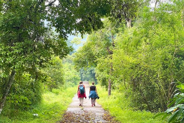 Đi bộ Vườn Quốc Gia Cát Bà: Chinh Phục Cung Đường Xuyên Rừng Nguyên Sinh