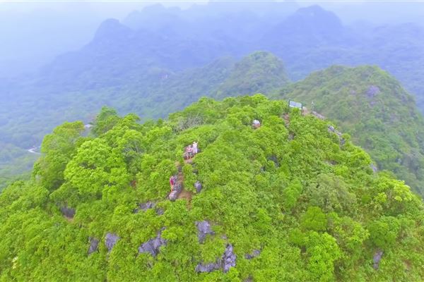 Leo Đỉnh Ngự Lâm Cát Bà: Ngắm Trọn Vẻ Đẹp 