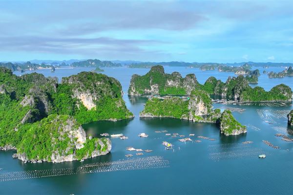 Tour Cát Bà 3 Ngày: Vịnh Lan Hạ – Vịnh Hạ Long –  Đi bộ trong rừng - Thăm Hang