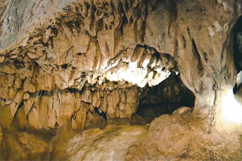  Tour nửa ngày: Khám Phá Rừng Ngập Mặn - Động Thiên Long - Thăm Miền Đất Rồng