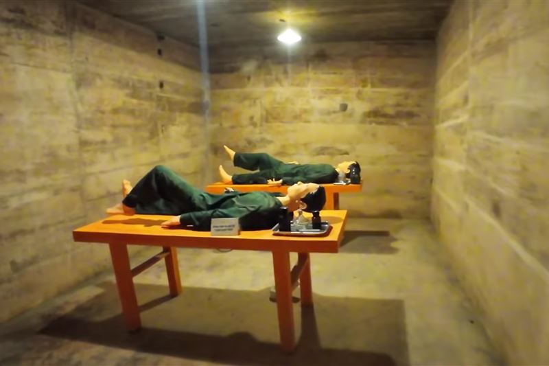  Tour Cát Bà 1 Ngày: Đi bộ xuyên rừng - Thăm làng cổ Việt Hải – Đạp Xe ngắm vịnh