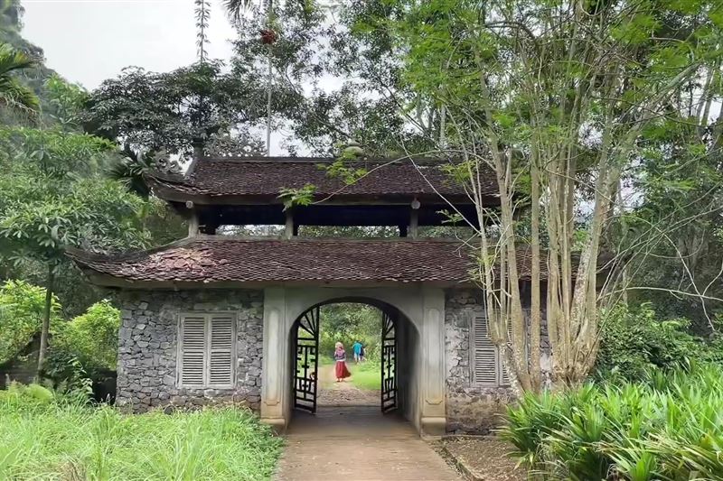  Tour Cát Bà 3 Ngày: Vịnh Lan Hạ – Vịnh Bái Tử Long –  Đi bộ trong rừng - Thăm Hang