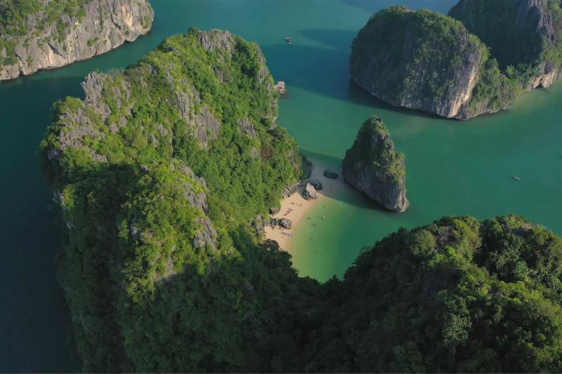  Tour nửa ngày: Khám Phá Rừng Ngập Mặn - Động Thiên Long - Thăm Miền Đất Rồng