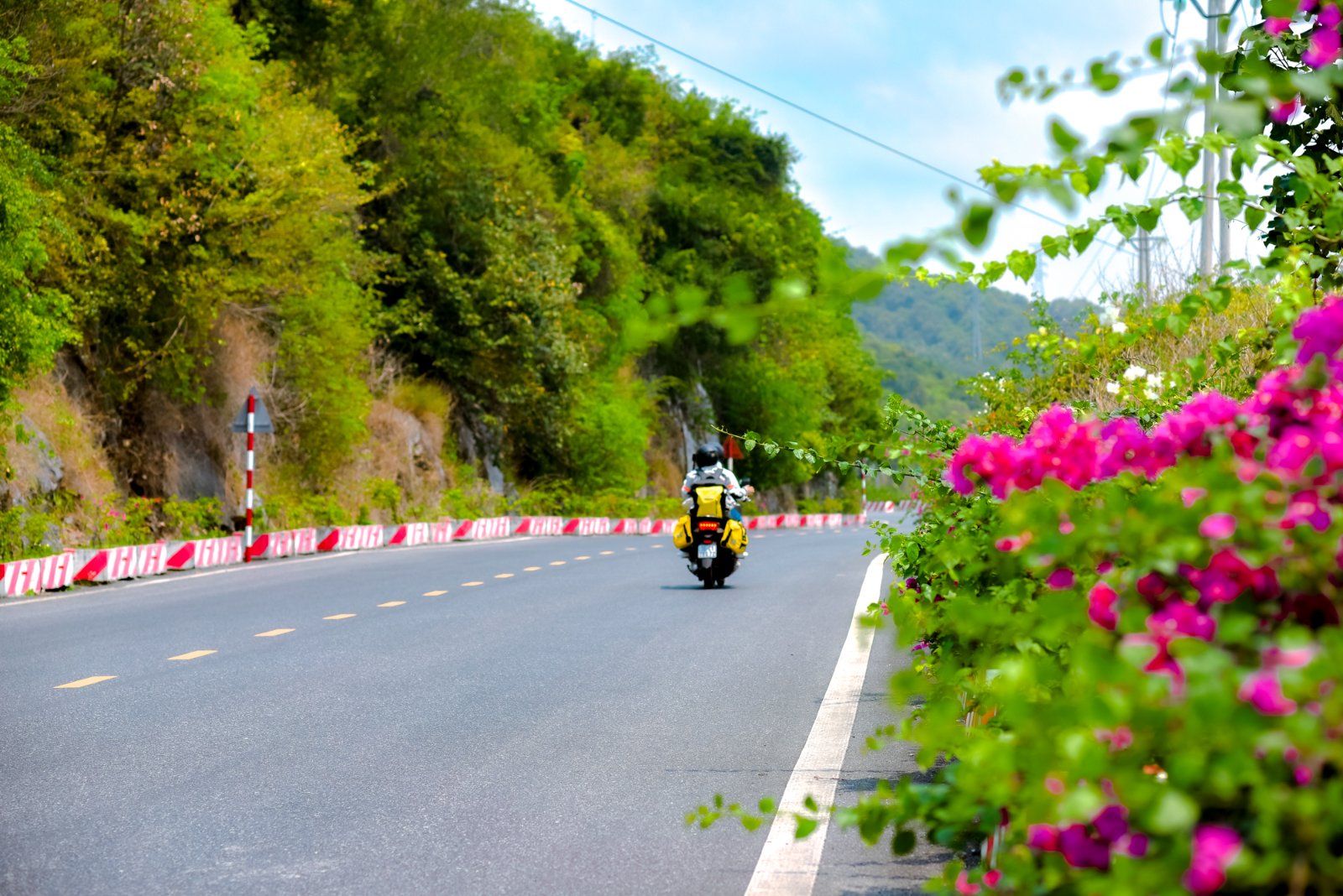 Đặc điểm kh&iacute; hậu C&aacute;t B&agrave;