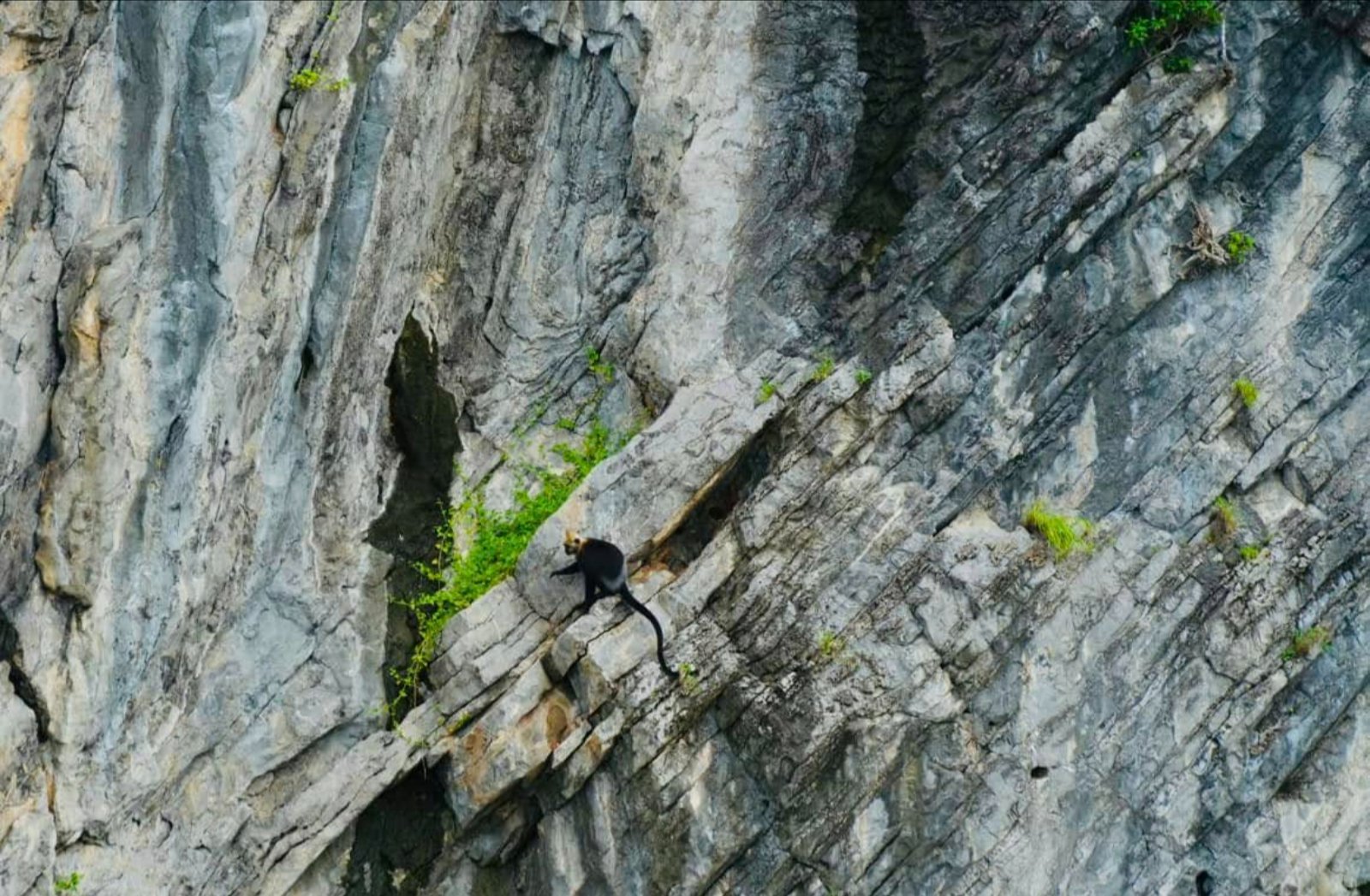 C&aacute;ch di chuyển đến Đảo Khỉ